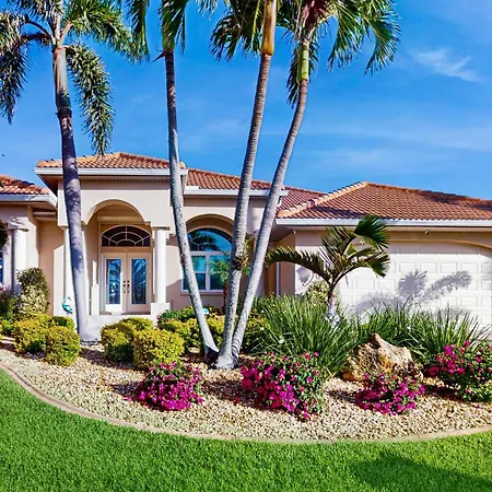 Paradise Palms Of The Florida Gulf
